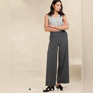 Banana Republic Hayden Wide Leg pant in charcoal grey- LIKE NEW ✨